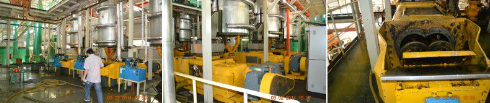 %vegetable oil for sale% %cooking oil(title)% sunflower oil for sale | soybean oil for sale | crude palm oil | refined palm oil | Crude sunflower oil