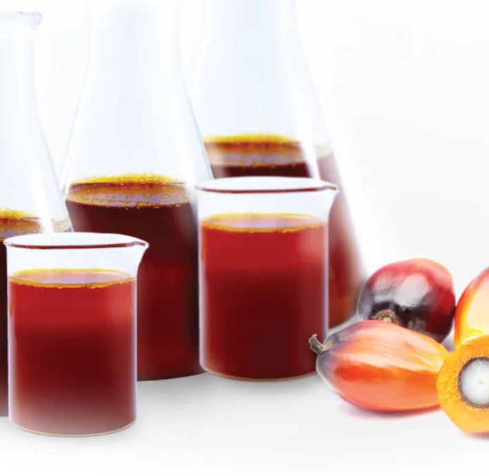 %vegetable oil for sale% %cooking oil(title)% Crude Palm Oil for Sale - Image 8