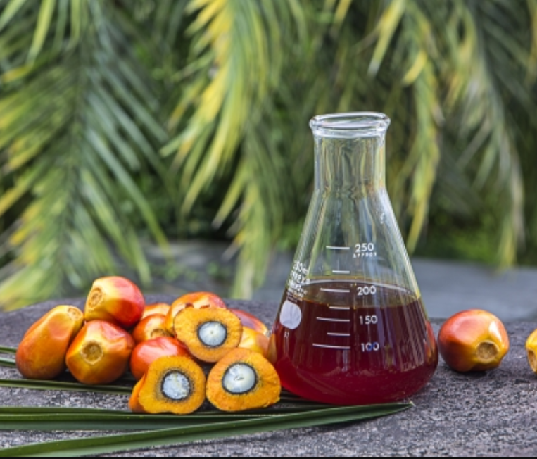 sunflower oil for sale | soybean oil for sale | crude palm oil | refined palm oil | Crude sunflower oil