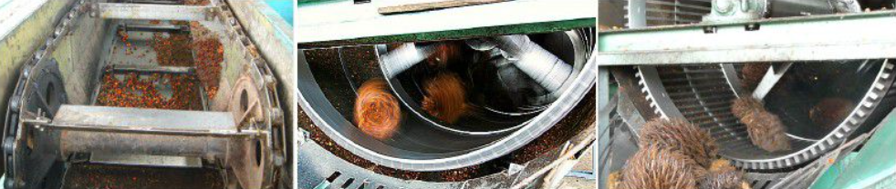 %vegetable oil for sale% %cooking oil(title)% sunflower oil for sale | soybean oil for sale | crude palm oil | refined palm oil | Crude sunflower oil